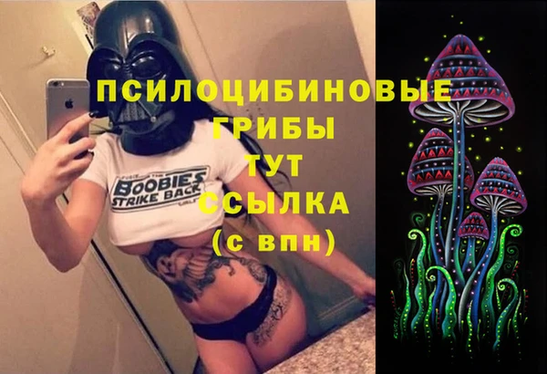 МДПВ Навашино