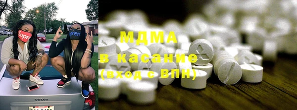 прущие грибы Надым