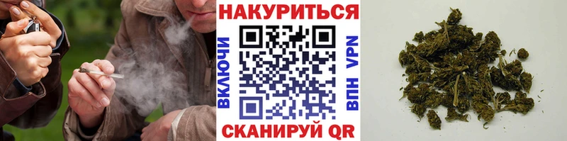 как найти наркотики  мориарти официальный сайт  Конопля White Widow  Красноуфимск 